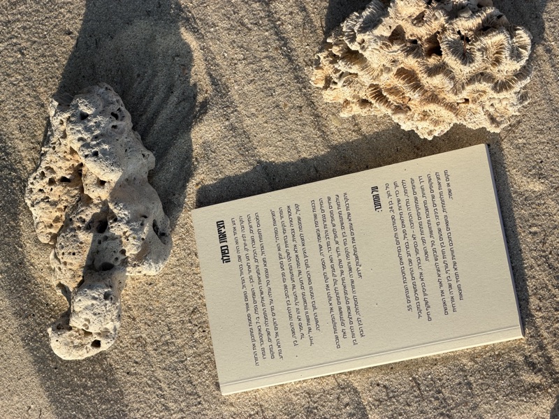 מציאות כפולה - גב הספר על החוף